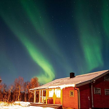 Trivelig Hytte I Senja. エクステリア 写真