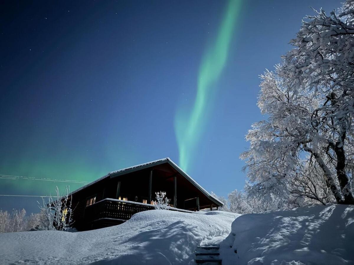 Trivelig Hytte I Senja. エクステリア 写真
