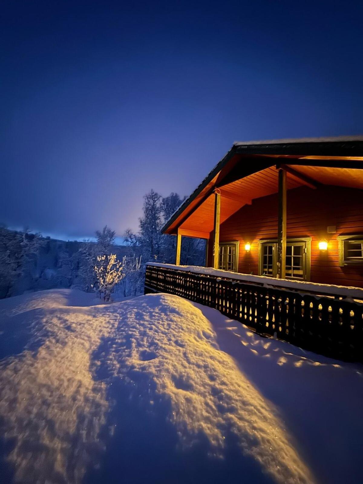 Trivelig Hytte I Senja. エクステリア 写真