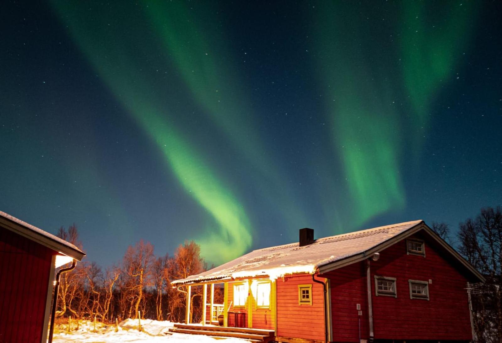 Trivelig Hytte I Senja. エクステリア 写真